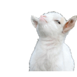 Goatsass E emoji