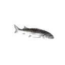 Joelnopers emoji