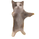 Happy Cat emoji