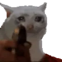 Catgun emoji
