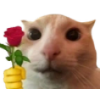 Catrose emoji
