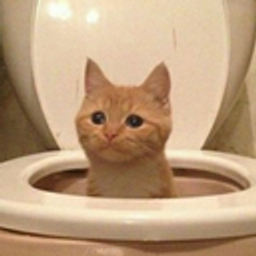 Cattoilet emoji