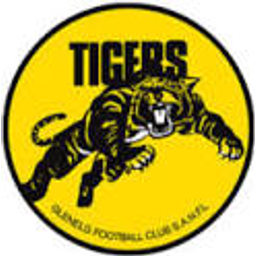 Afl Tigers emoji