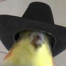 Cowboy Birb emoji