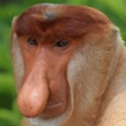 Janusz Monkey emoji