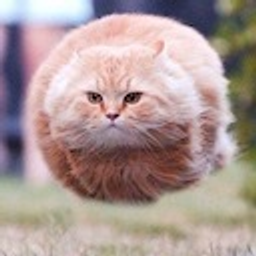 Hoverkitty emoji