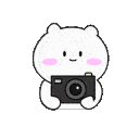 Cute Bear Camera Snap emoji