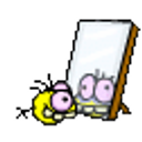 Mirror Crack emoji