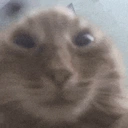 Vahui emoji
