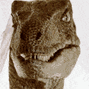 Raptor Disagrees emoji
