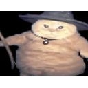Fatasswizardmakesaspellingerror emoji