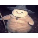 Fatasswizardcastsblizzard emoji