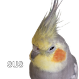 Birb Sus emoji
