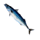 Fish Spin emoji