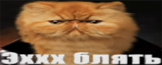 Ehhhblyat emoji