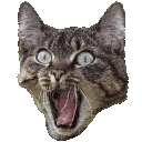 Catyell0 emoji