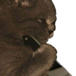 Kittenshank emoji