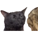 Zoning emoji