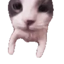 Catkiss emoji