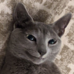 Cat Happy emoji
