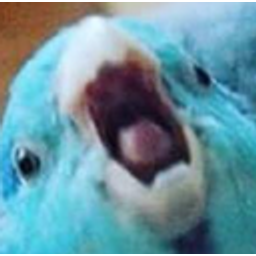 Blubird emoji