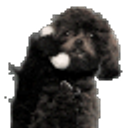 Phone Puppy emoji