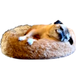 Nobones emoji
