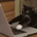 Cattype0 emoji