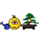 Watering Bonsai emoji