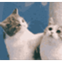 Catkisses emoji