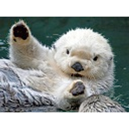 Seaotter emoji