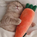 Eepingwithacarrot emoji