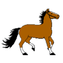 Horse Trot emoji