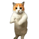 Cattime2 emoji