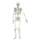 Skeletonpls2 emoji
