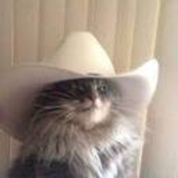 Gatinhocowboy emoji