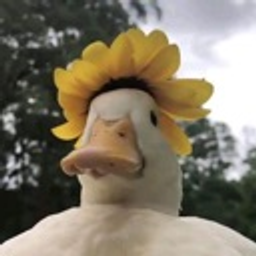 Ducflower emoji