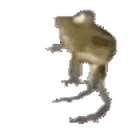 Frogedance emoji