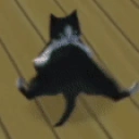 Breakdancecat emoji