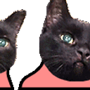 Cat Conga emoji