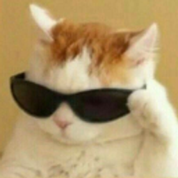 Cat Vibe Check emoji