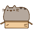 Pusheenbox emoji