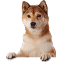 Oh Hai Doge emoji
