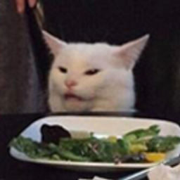 Smudge Cat emoji