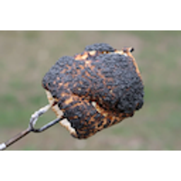 Burnt Marshmallow emoji