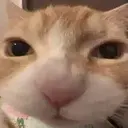 Nom emoji