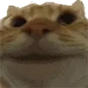 Catyep emoji