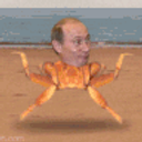Putin Crab 96 emoji