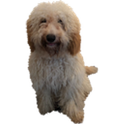 Tomsdog emoji