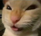 Nyehehehe emoji